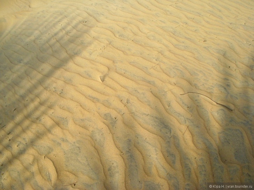 Солнце, море и песок... (Индия. Южное Гоа)