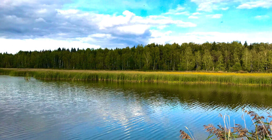 Прогноз погоды в озерах Московской области на 3 дня почасовой