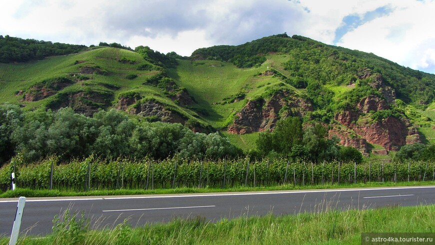 2012 год. Примерно 15 процентов площади виноградников в Германи приходится на склоны, крутизна которых превышает 30 процентов.