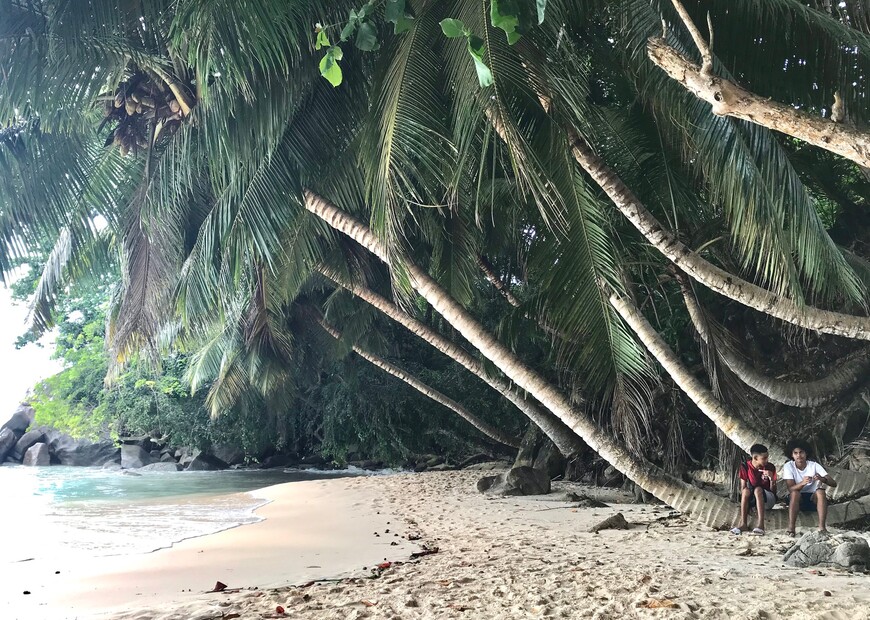 Сейшелы: тропы и пляжи