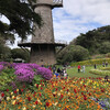 Golden Gate Park, Queen Wilhelmina tulip garden
