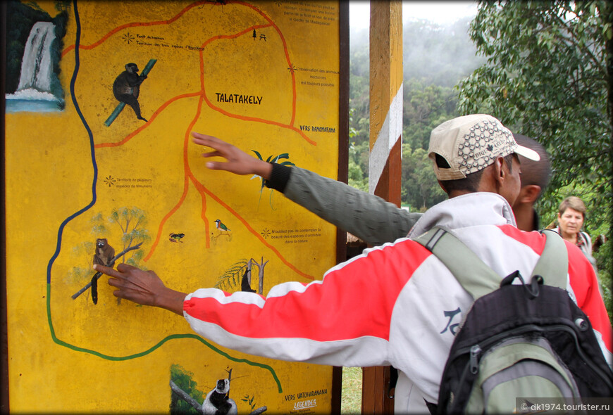 Мадагаскарские хроники — Национальный парк «Раномафана» 