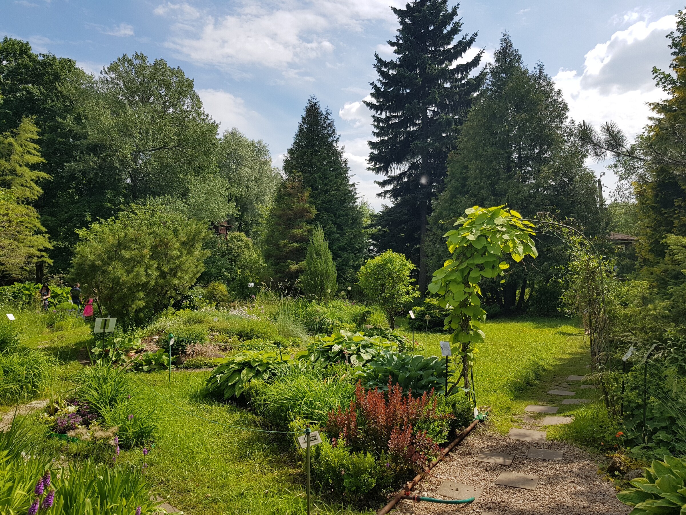 Фото ботанический сад в твери