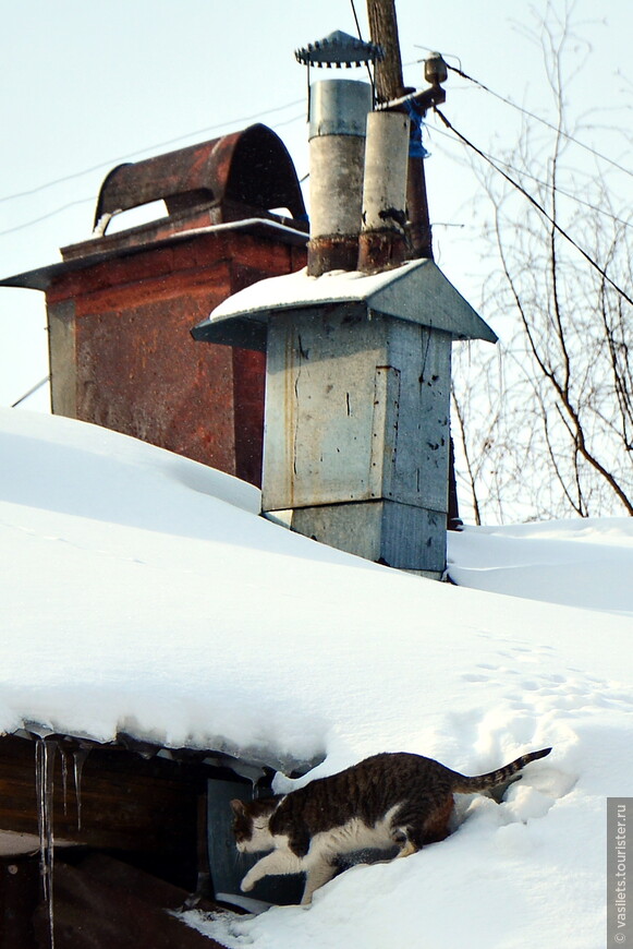 Кострома, ты моя Кострома