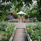 Забайкальский ботанический сад в Чите