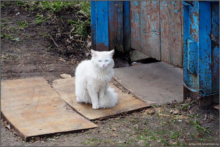 Кострома _ Ипатьевская слобода