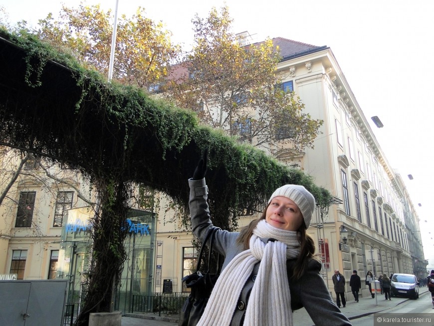 «Сладкий ноябрь» в Вене, или прелюдия к Рождеству: часть 3