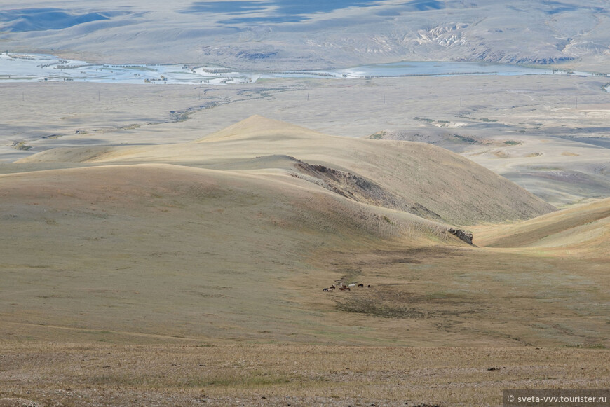 От глэмпинга до спартанской юрты на границе с Монголией 