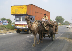 По дороге в Джайпур
