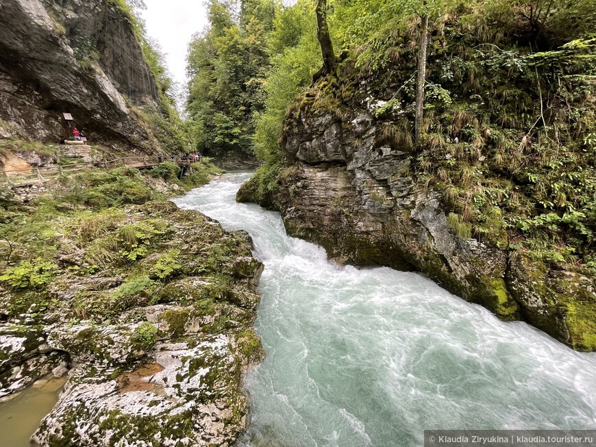 Красивейшее ущелье Винтгар в Словении