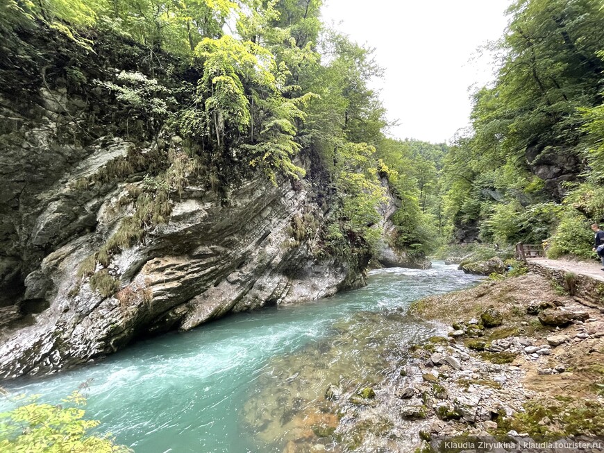 Красивейшее ущелье Винтгар в Словении