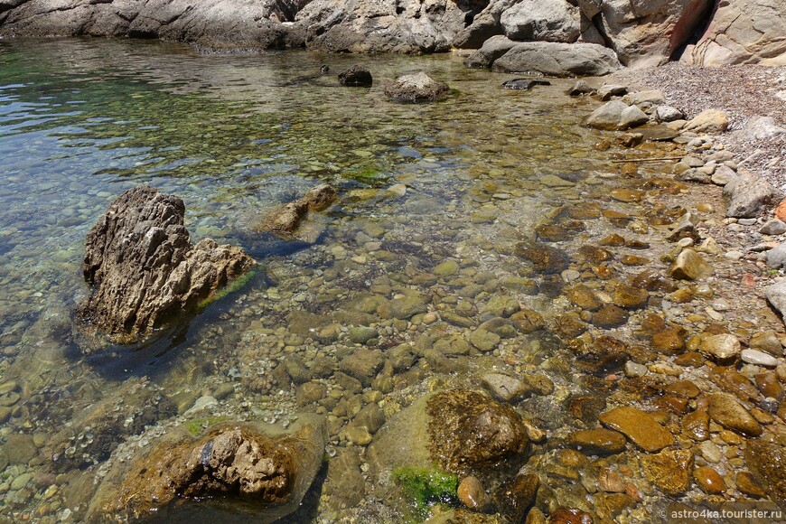 Вход в воду на пляже: скользкие камни и мелкие, очень колючие ракушки.  
