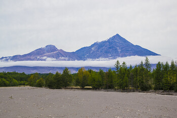 Вулкан Шивелуч на Камчатке выбросил столб пепла высотой 3.5 км