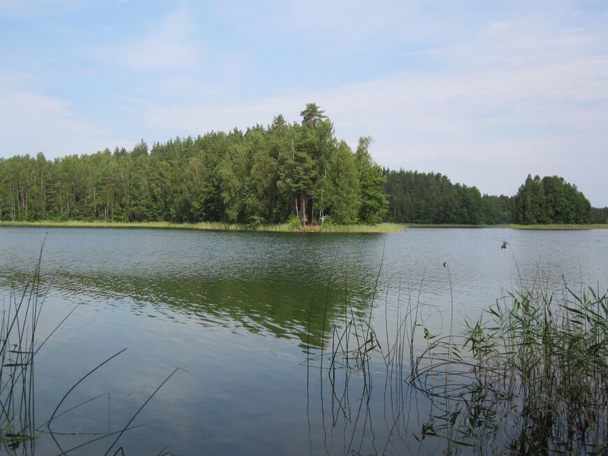 Белое озеро в Псковской области