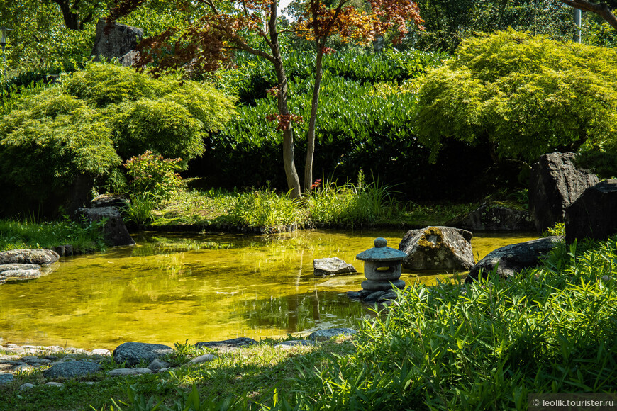 Японский садие.