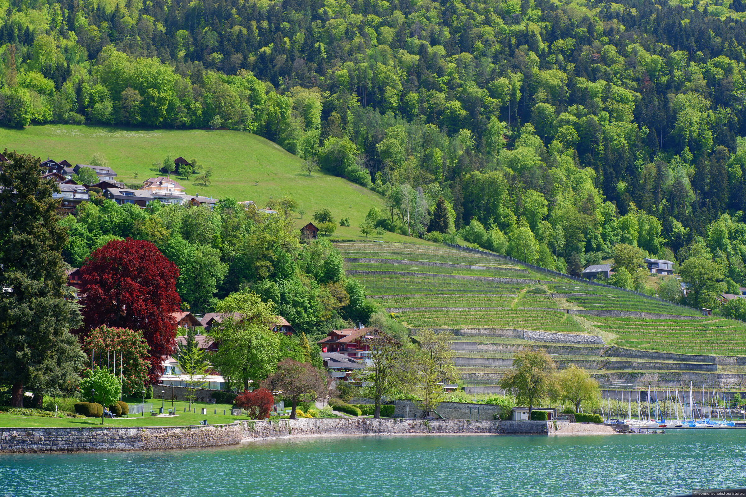 Озеро развлечений. Тунское озеро Швейцария замок с садом. Тунское озеро осень.