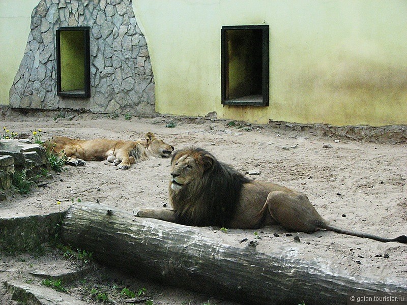 Рижский зоопарк