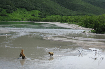 Туристам вновь разрешили посещать Курильское озеро на Камчатке