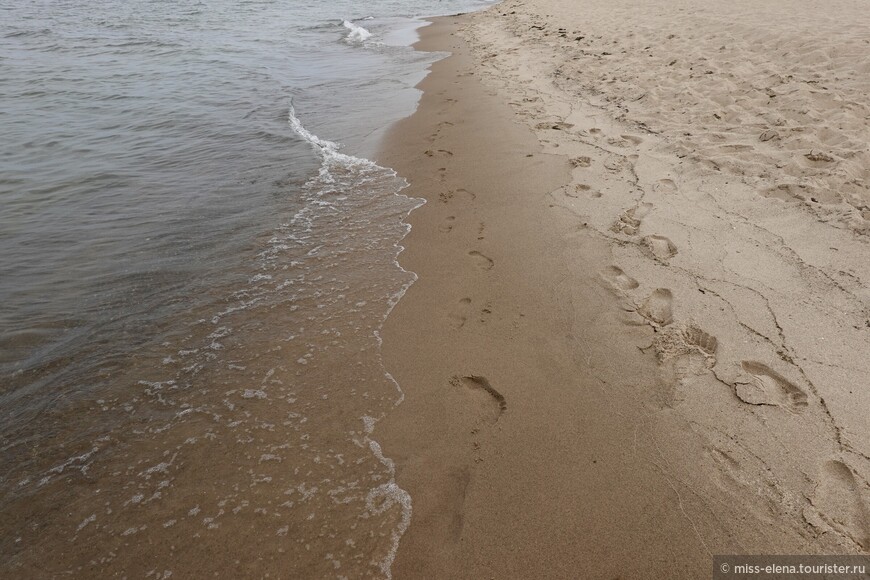 Справка из Википедии:  «Чтобы образовался поющий песок, должны возникнуть определенные условия. Зерна песка должны быть круглыми и иметь диаметр от 0,1 до 0,5 мм. Песок должен содержать кремнезем. Песок должен иметь определенную влажность.»

