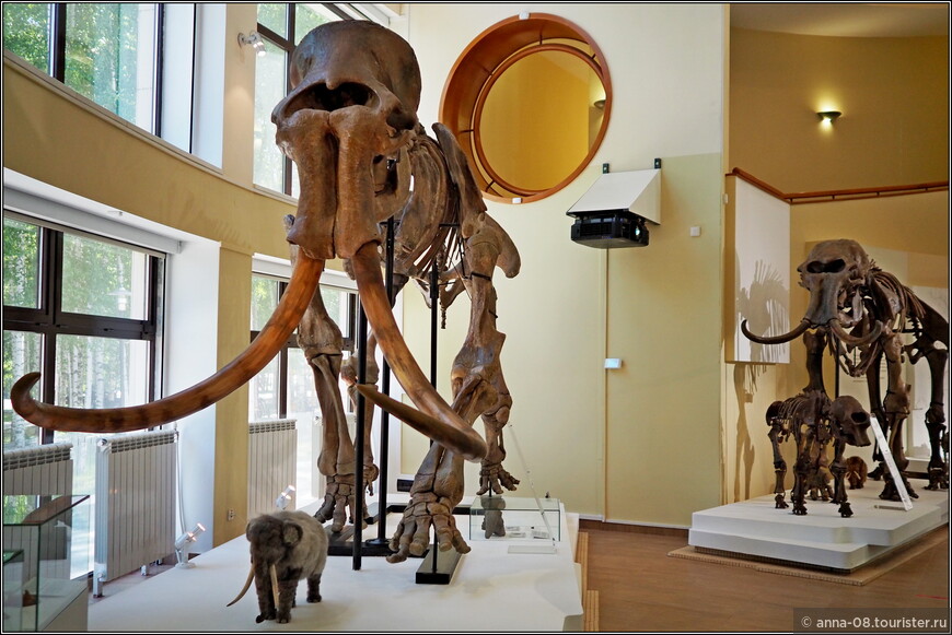 Музей Природы и Человека