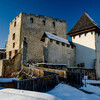 Цельский замок, Словения