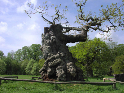 Castle Howard, Йоркширский край. Англия.