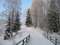 Дендрологический парк зимой