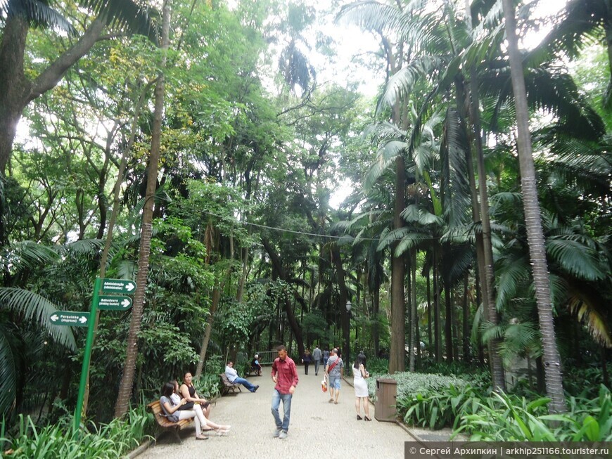 Тропический парк Трианон в Сан-Паулу (Бразилия).