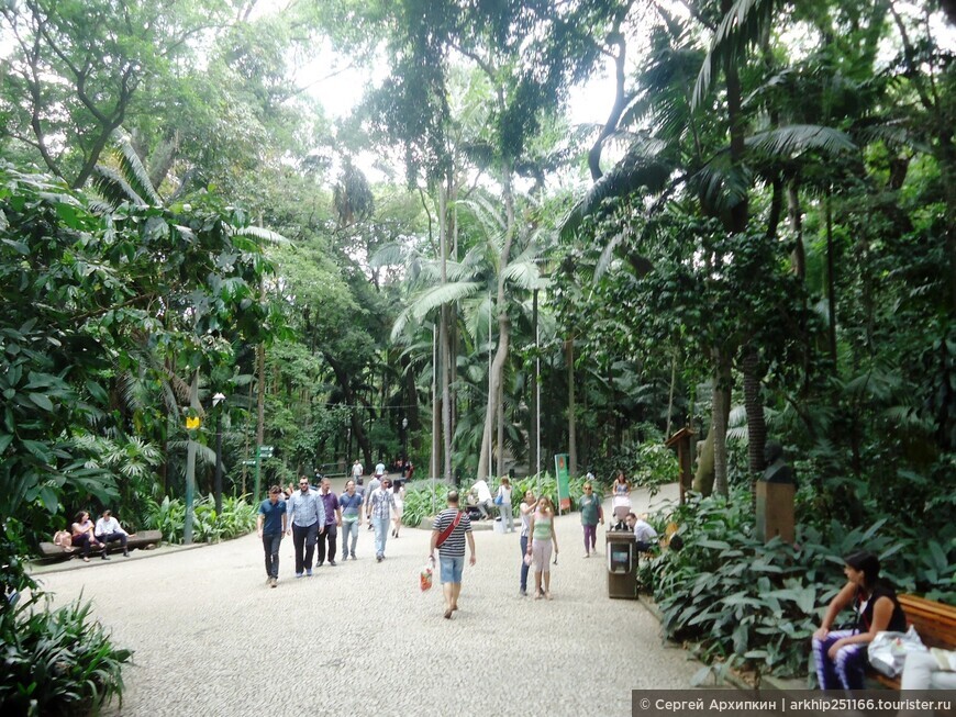 Тропический парк Трианон в Сан-Паулу (Бразилия).