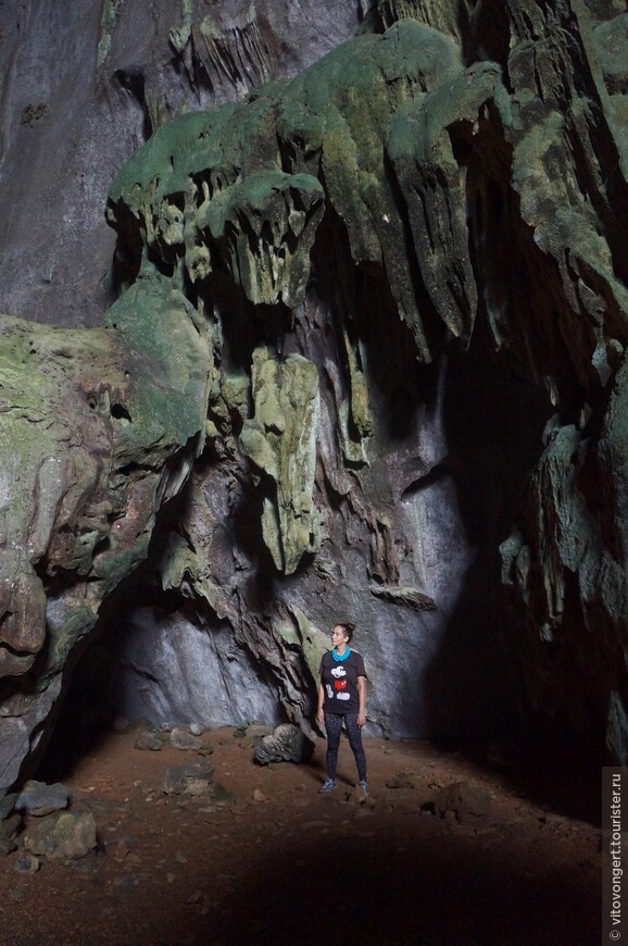 Пещера Слон (Elephant cave) национальный парк Фонгня-Кебанг в провинции Куангбинь Вьетнам