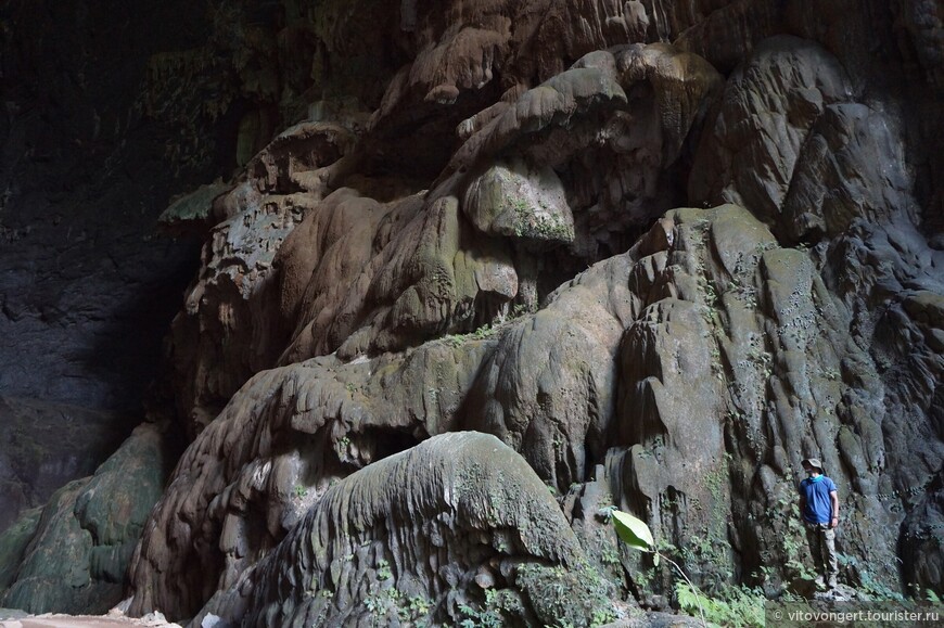 Пещера Слон (Elephant cave) национальный парк Фонгня-Кебанг в провинции Куангбинь Вьетнам