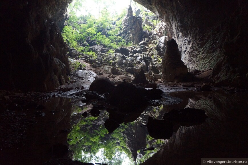 Пещера Слон (Elephant cave) национальный парк Фонгня-Кебанг в провинции Куангбинь Вьетнам