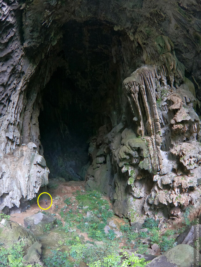 Пещера Слон (Elephant cave) национальный парк Фонгня-Кебанг в провинции Куангбинь Вьетнам