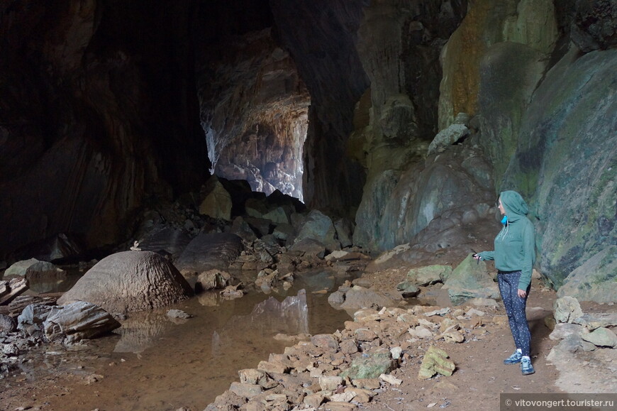 Пещера Слон (Elephant cave) национальный парк Фонгня-Кебанг в провинции Куангбинь Вьетнам