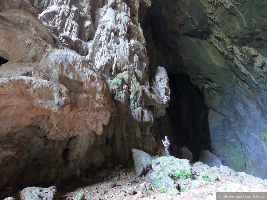 Пещера Слон (Elephant cave) национальный парк Фонгня-Кебанг в провинции Куангбинь Вьетнам