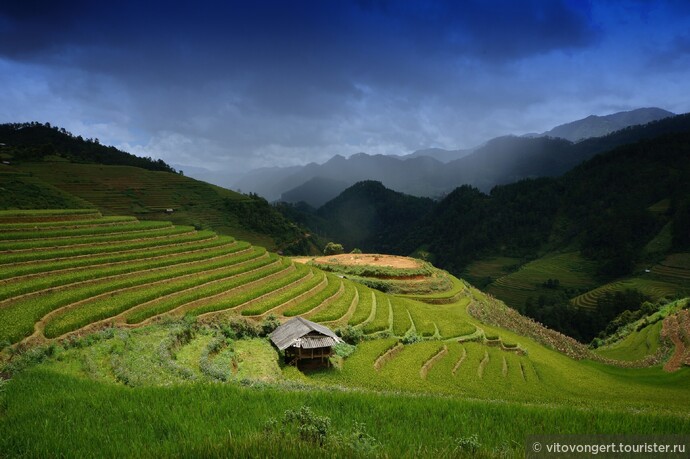 Красивейший Мукангчай (Mu Cang Chai) Северный Вьетнам (North Vietnam)