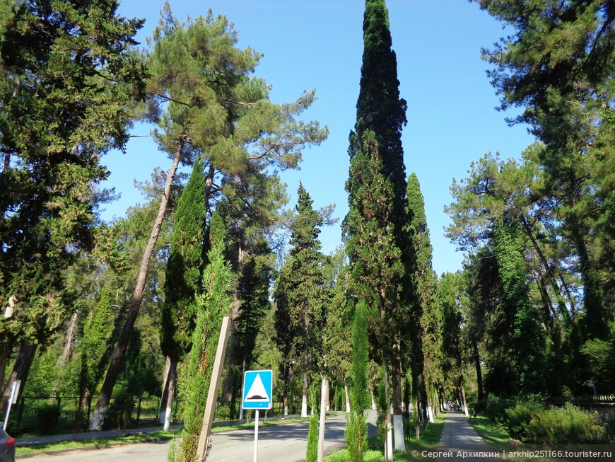 Лучший курорт Абхазии — солнечная Пицунда