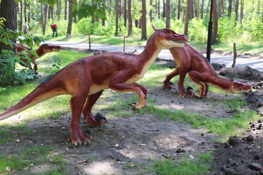 Белгородский парк динозавров