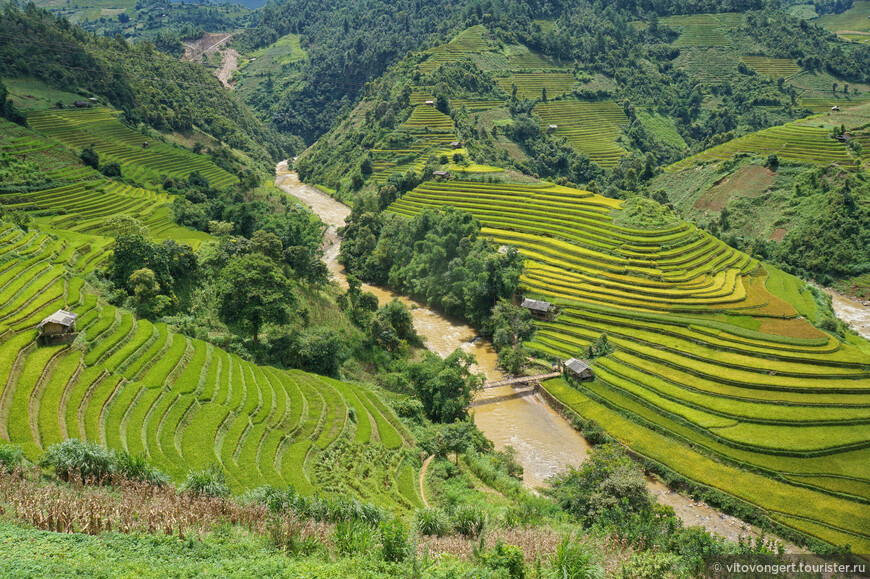Красивейший Мукангчай (Mu Cang Chai) провинция Йенбай Северный Вьетнам (продолжение)