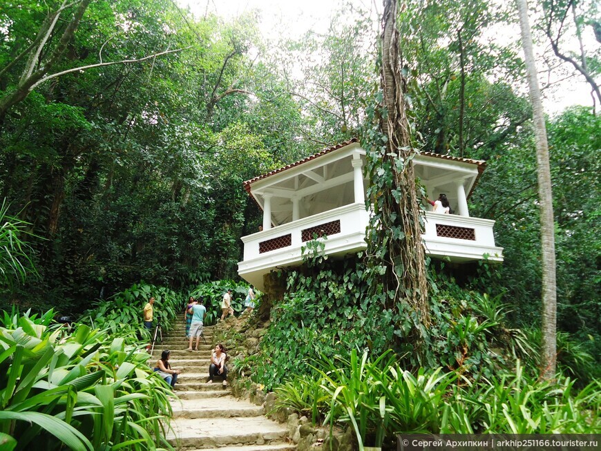 Тропический Рай в Ботаническом Саду в Рио-де-Жанейро