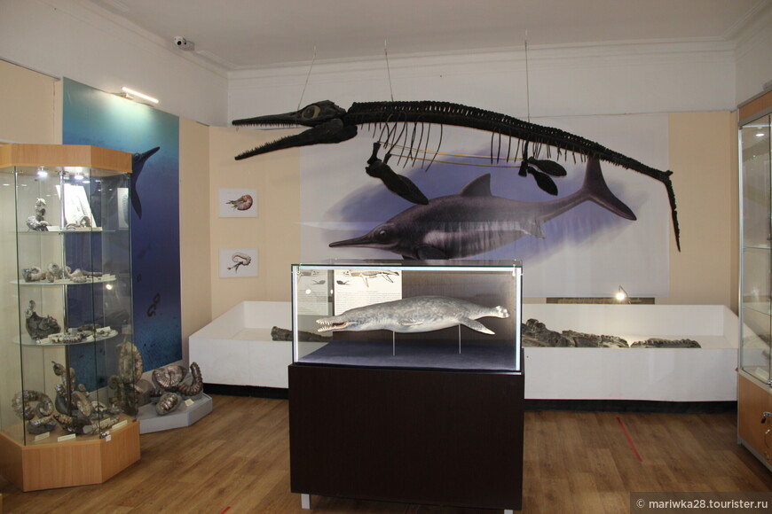 Экспозиция палеонтологического музея