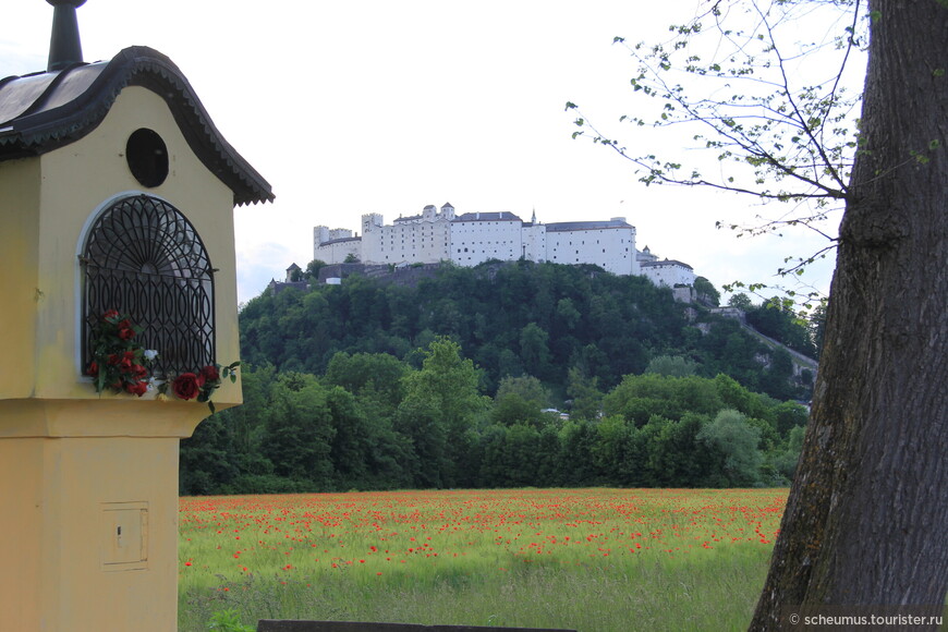 Из центра Зальцбурга в замок Хельбрунн