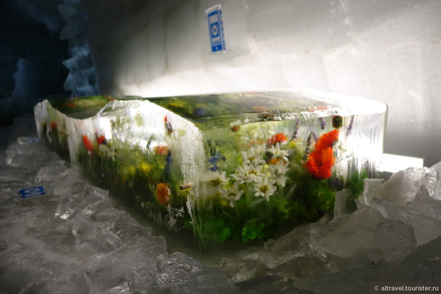 А также лежит блок льда с вмороженными в него живыми цветами.