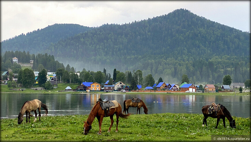 Алтайский автопробег, день 3 — Телецкое озеро                              