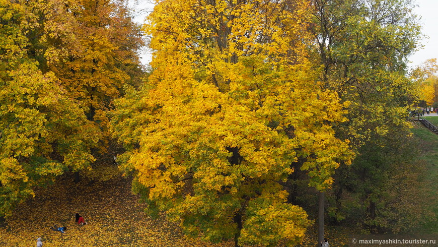Золотая осень в Царицыно