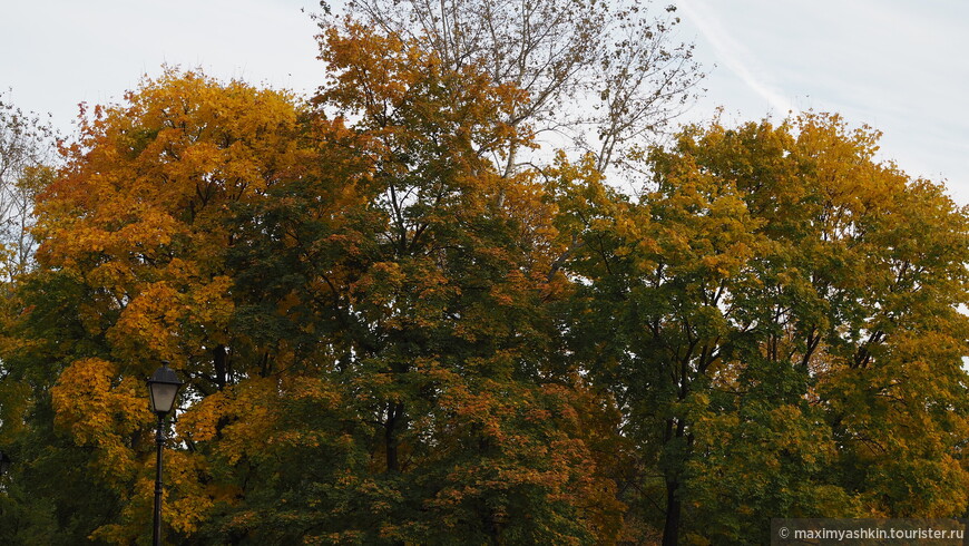 Золотая осень в Царицыно
