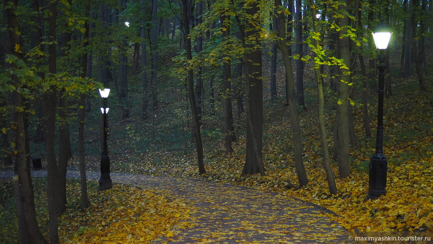 Золотая осень в Царицыно