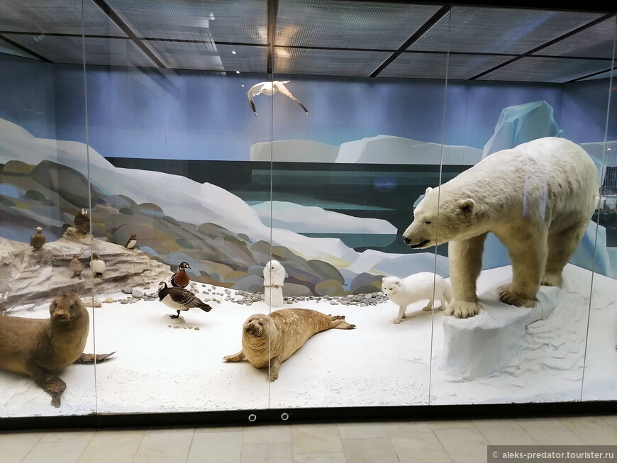 История природы в Дарвиновском музее