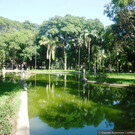 Тропический парк Луз в Сан-Паулу
