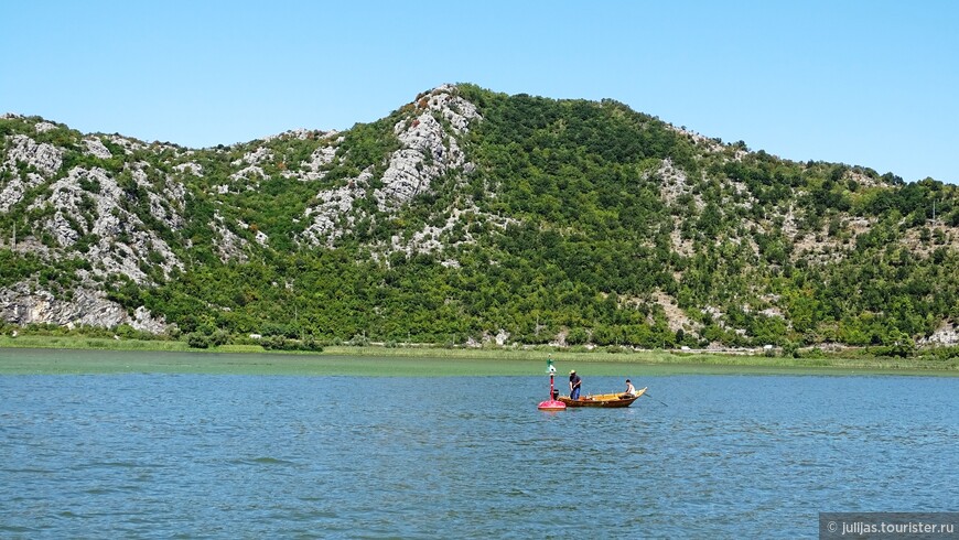 Солнечный день на Скадарском озере